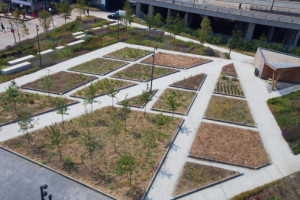 Aerial View of Inner City Urban Park